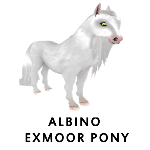 Albino