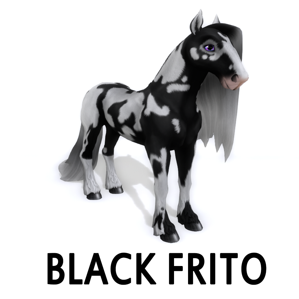 Black Frito/Alloy F