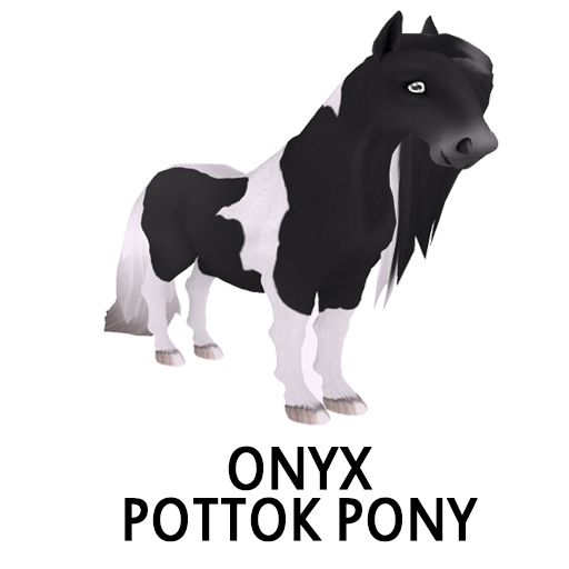 DOS Jazzy Gem Onyx Pottok Pony