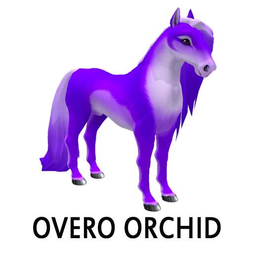 Overo Orchid M