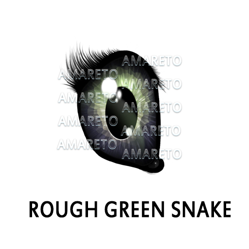 REPTILE ROUGH GREEN SNAKE PET