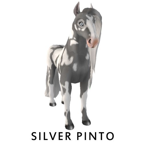 NEW REINS SILVER F
