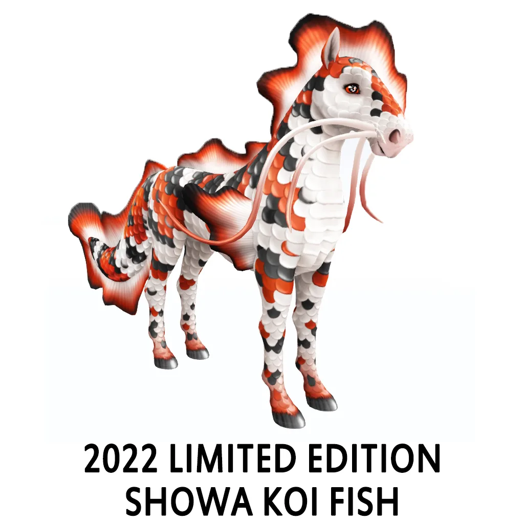 2022 Limited Edition Showa Koi Fish