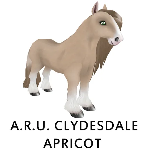 A R U Clydesdale Apricot