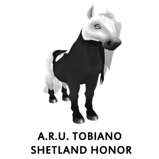 A R U Tobiano Shetland Honor