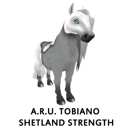 A R U Tobiano Shetland Strength