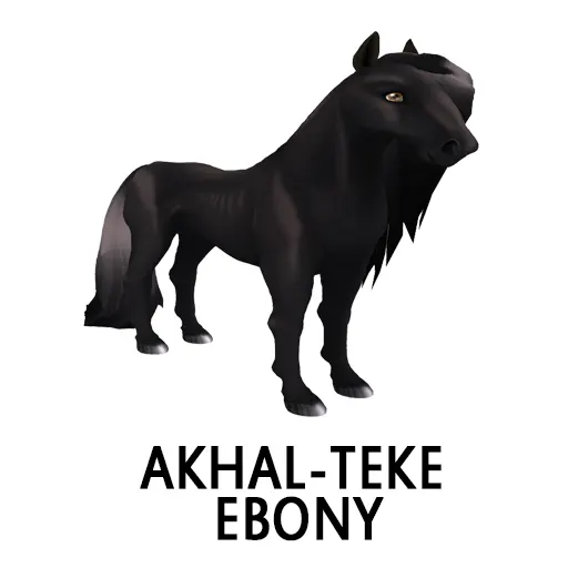 Akhal Teke Ebony