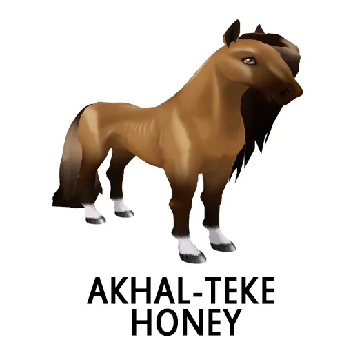 Akhal Teke Honey