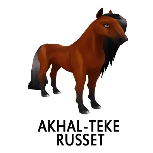 Akhal Teke Russet