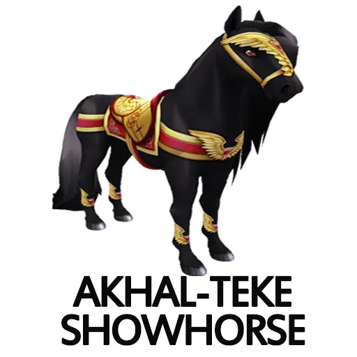 Akhal Teke Showhorse