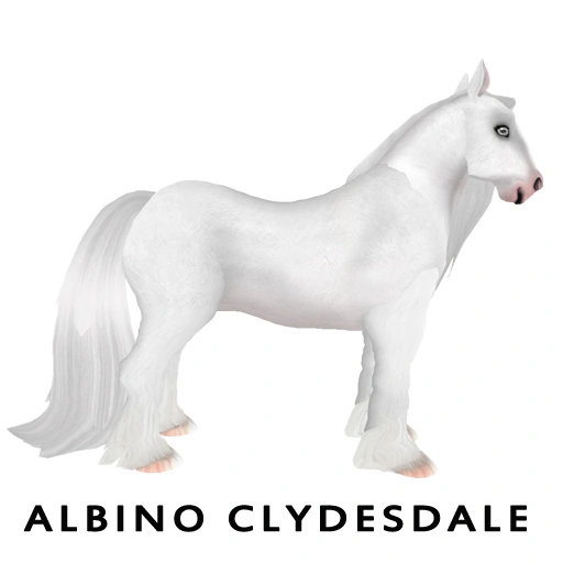 Albino Clydesdale