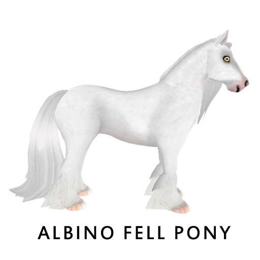 Albino Fell Pony