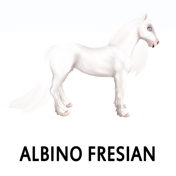 Albino Friesian