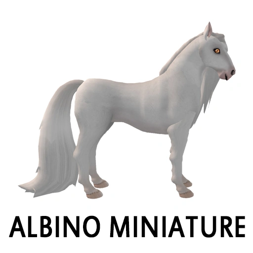 Albino Miniature