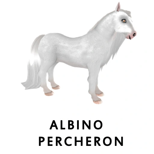 Albino Percheron