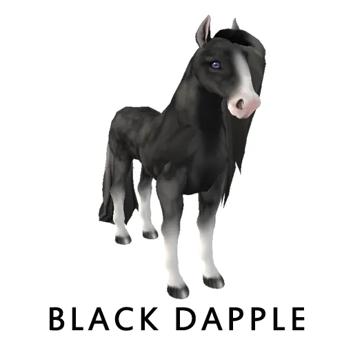 Amaretto Black Dapple Appreciation