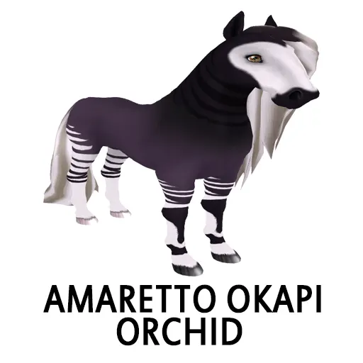 Amaretto Okapi Orchid