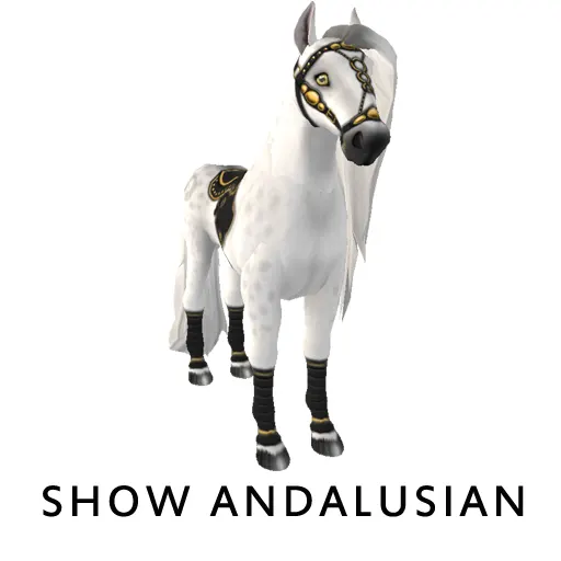 Amaretto Show Andalusian