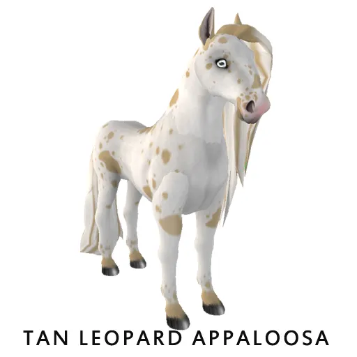 Amaretto Tan Leopard Appaloosa
