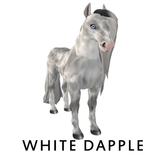 Amaretto White Dapple Appreciation