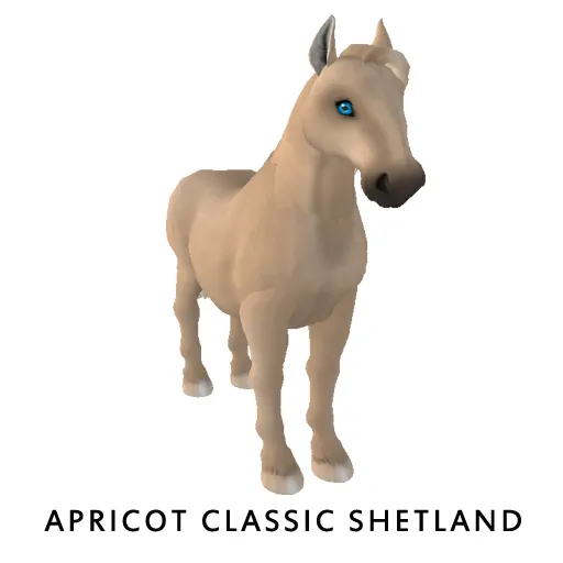 Apricot Classic Shetland