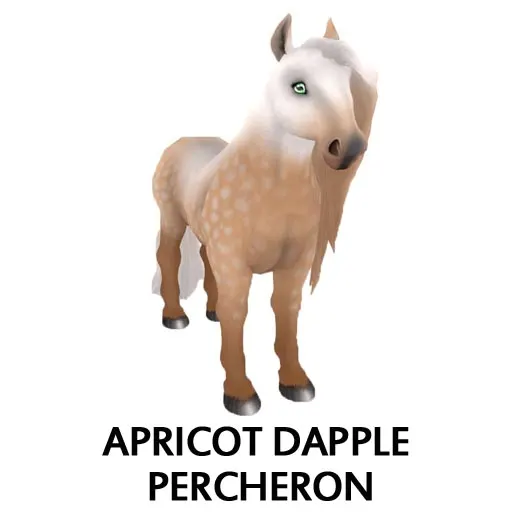 Apricot Dapple Percheron