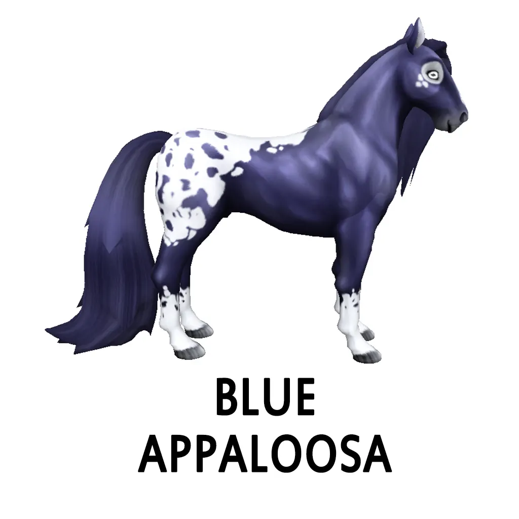 TXM Amaretto Horse Bundle 3 - Blue Appaloosa, Saturn Galaxy eyes - Amaretto bundle for sale on HorseMonitor
