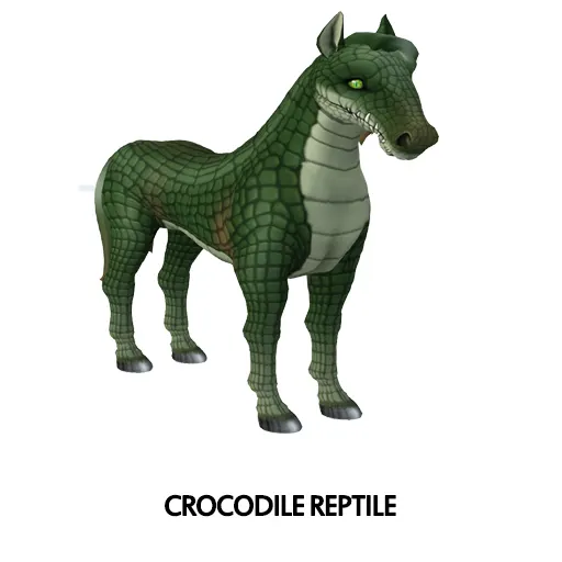 Crocodile Reptile