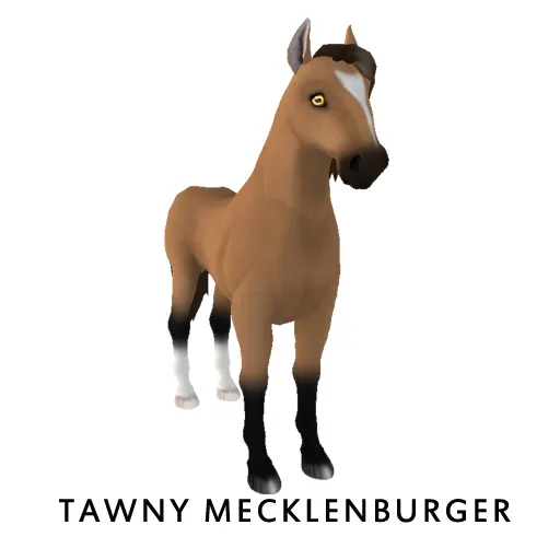 Bundle - Tawny Mecklenburger, Violet eyes - Amaretto bundle for sale on HorseMonitor