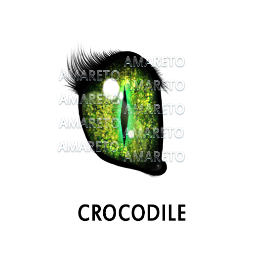 Crocodile