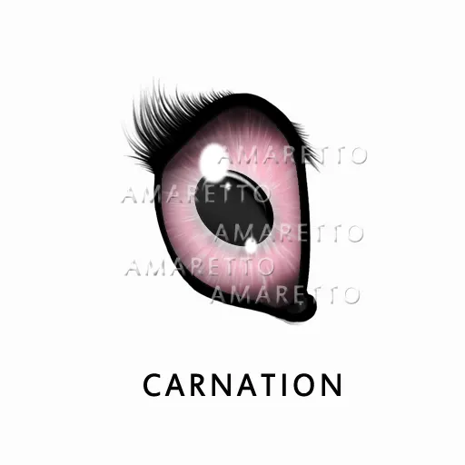 Carnation
