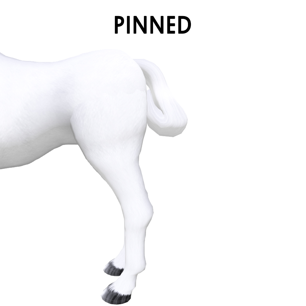 Pinned