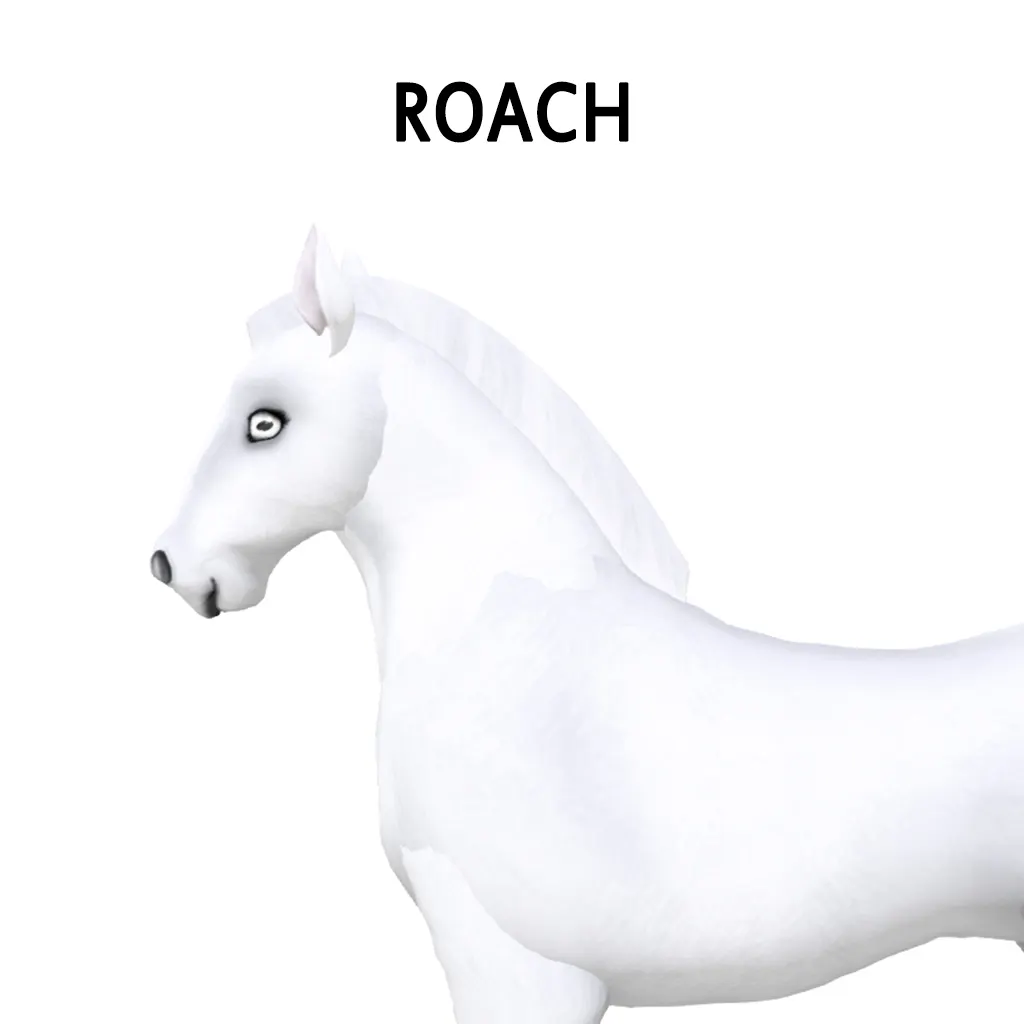 Roach
