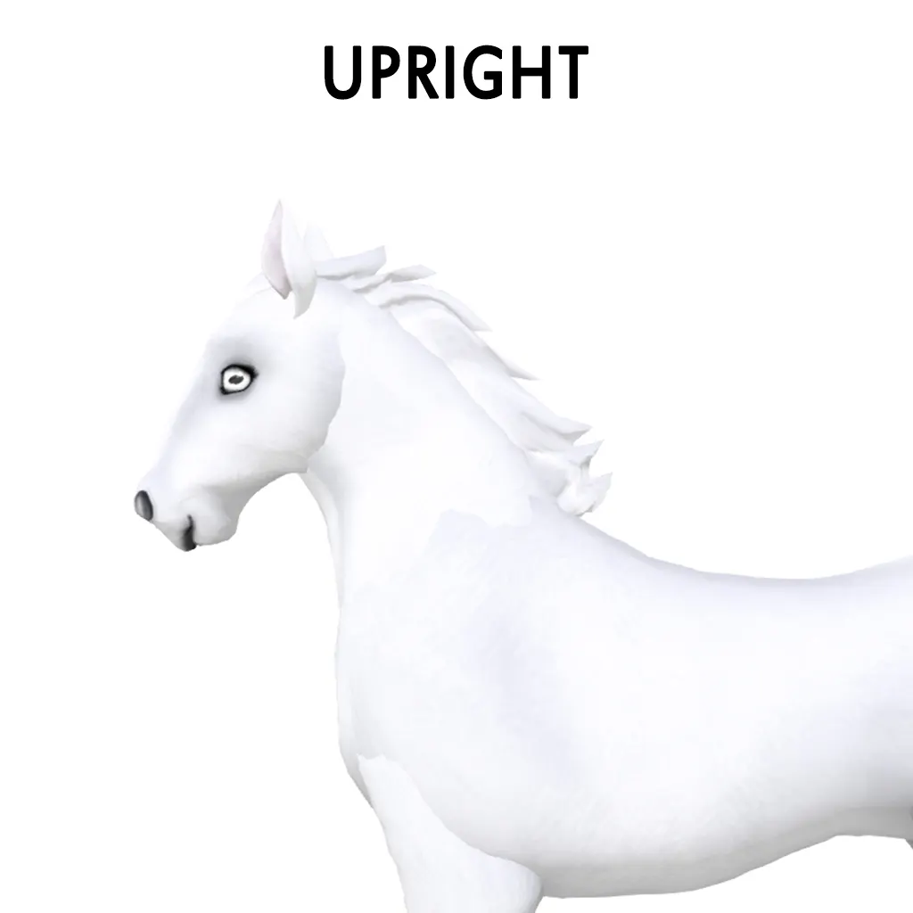 Upright