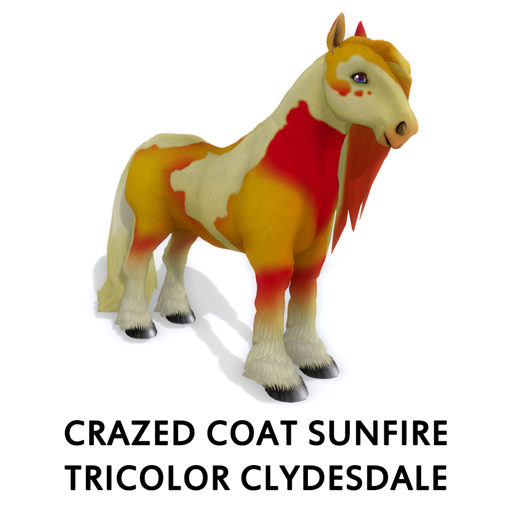 Crazed Coat Sunfire Tricolor Clyd F
