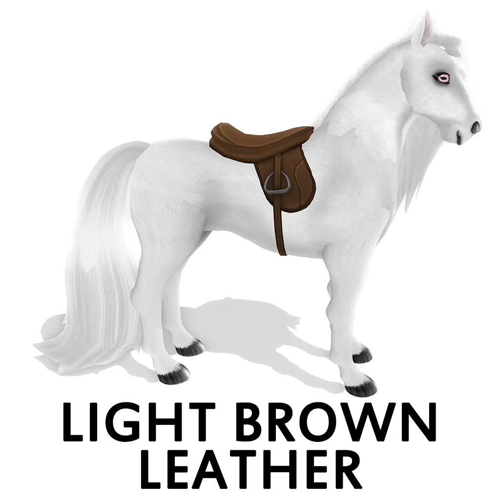 Dressage