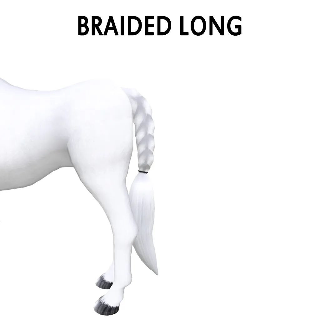 Braided Long